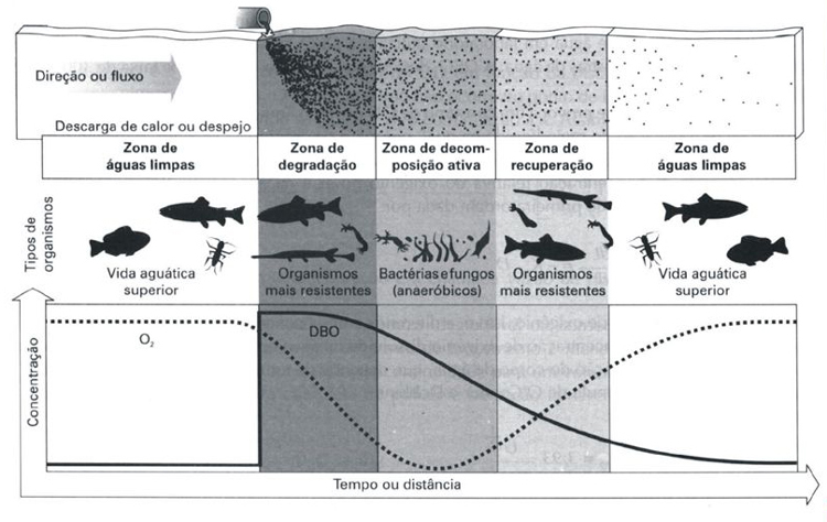 Figura 1 Fonte: Braga e outros. Introdução à Engenharia Ambiental. 2ª ed. São Paulo: Pearson, 2005